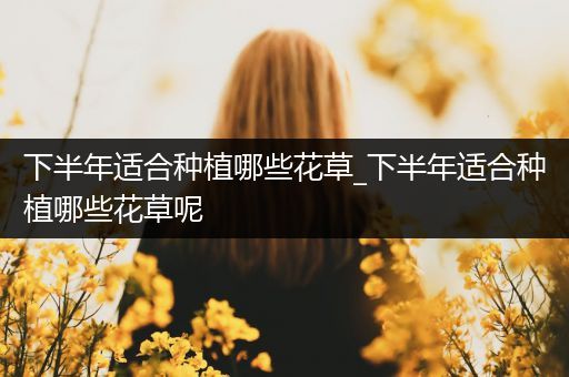 下半年适合种植哪些花草_下半年适合种植哪些花草呢