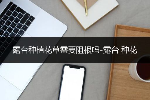 露台种植花草需要阻根吗-露台 种花
