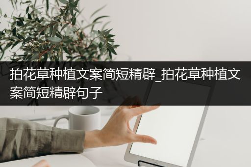 拍花草种植文案简短精辟_拍花草种植文案简短精辟句子