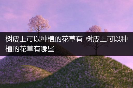 树皮上可以种植的花草有_树皮上可以种植的花草有哪些