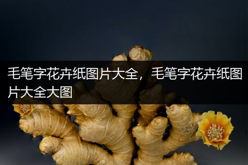 毛笔字花卉纸图片大全，毛笔字花卉纸图片大全大图