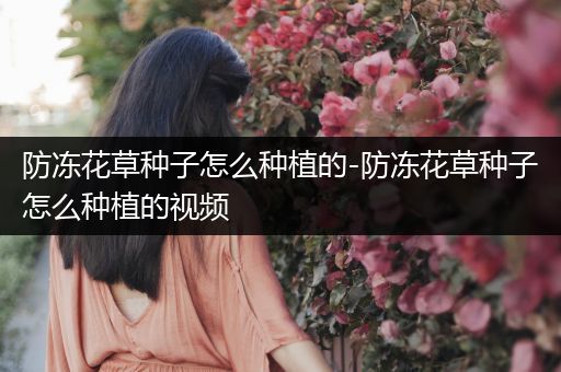 防冻花草种子怎么种植的-防冻花草种子怎么种植的视频
