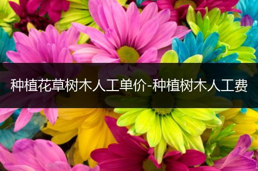 种植花草树木人工单价-种植树木人工费