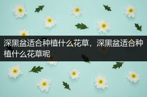 深黑盆适合种植什么花草，深黑盆适合种植什么花草呢