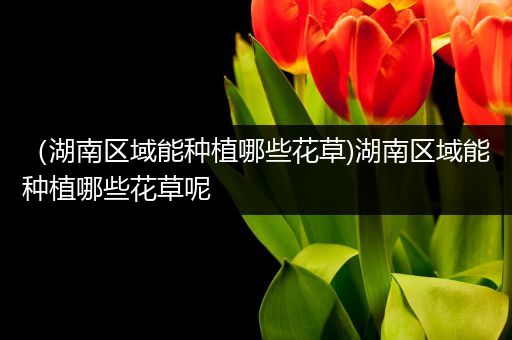 （湖南区域能种植哪些花草)湖南区域能种植哪些花草呢
