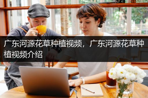 广东河源花草种植视频，广东河源花草种植视频介绍