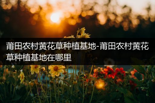 莆田农村黄花草种植基地-莆田农村黄花草种植基地在哪里