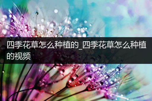 四季花草怎么种植的_四季花草怎么种植的视频