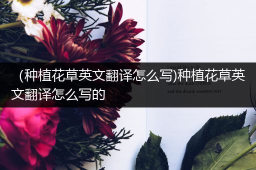 （种植花草英文翻译怎么写)种植花草英文翻译怎么写的