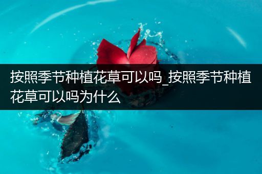 按照季节种植花草可以吗_按照季节种植花草可以吗为什么