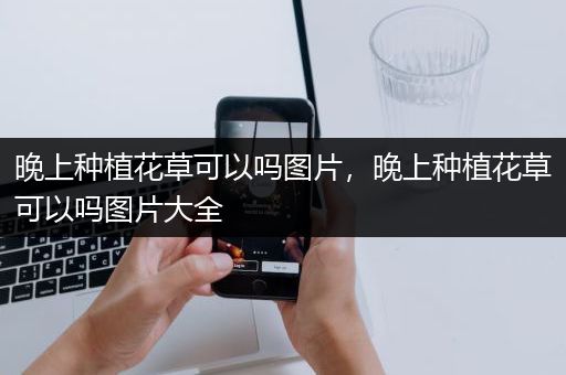 晚上种植花草可以吗图片，晚上种植花草可以吗图片大全