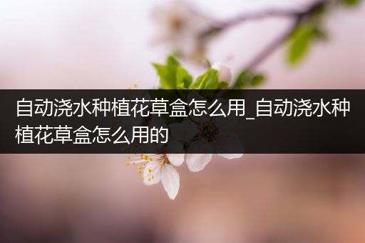 自动浇水种植花草盒怎么用_自动浇水种植花草盒怎么用的