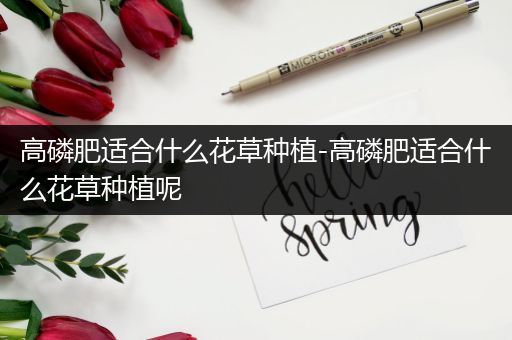 高磷肥适合什么花草种植-高磷肥适合什么花草种植呢