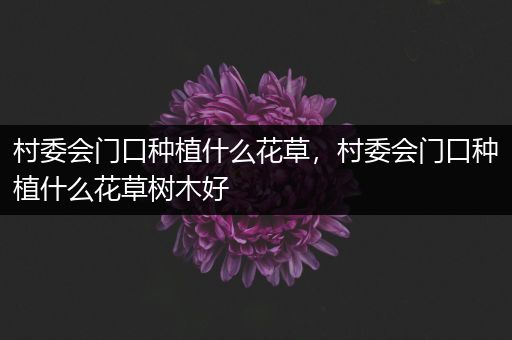 村委会门口种植什么花草，村委会门口种植什么花草树木好