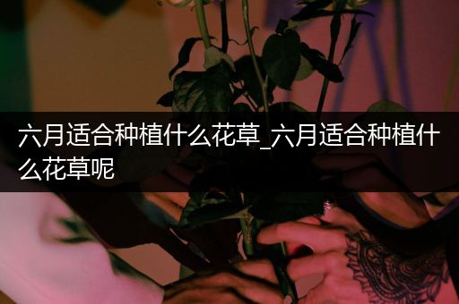 六月适合种植什么花草_六月适合种植什么花草呢