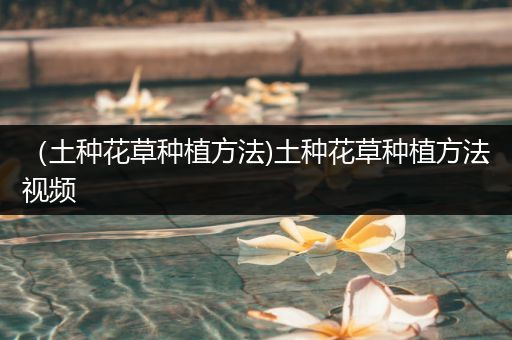 （土种花草种植方法)土种花草种植方法视频