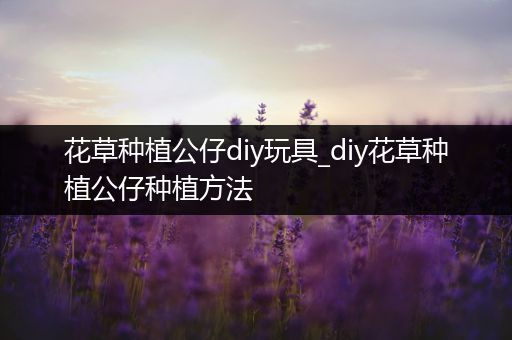 花草种植公仔diy玩具_diy花草种植公仔种植方法