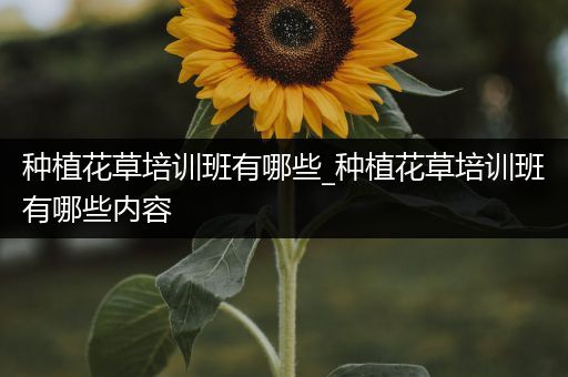 种植花草培训班有哪些_种植花草培训班有哪些内容