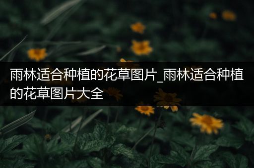 雨林适合种植的花草图片_雨林适合种植的花草图片大全