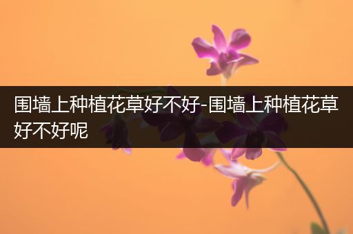 围墙上种植花草好不好-围墙上种植花草好不好呢