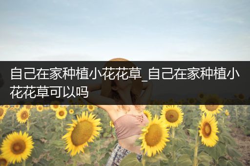 自己在家种植小花花草_自己在家种植小花花草可以吗