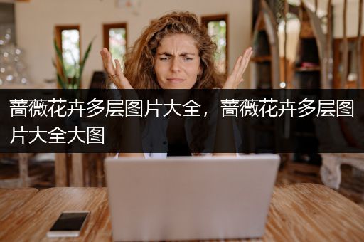 蔷薇花卉多层图片大全，蔷薇花卉多层图片大全大图
