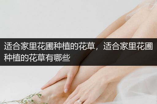 适合家里花圃种植的花草，适合家里花圃种植的花草有哪些