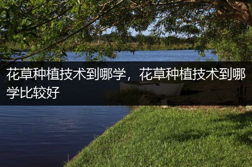 花草种植技术到哪学，花草种植技术到哪学比较好