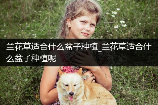 兰花草适合什么盆子种植_兰花草适合什么盆子种植呢