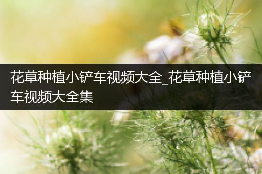 花草种植小铲车视频大全_花草种植小铲车视频大全集