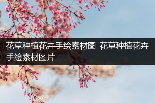 花草种植花卉手绘素材图-花草种植花卉手绘素材图片