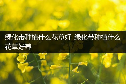 绿化带种植什么花草好_绿化带种植什么花草好养