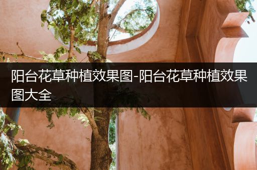 阳台花草种植效果图-阳台花草种植效果图大全
