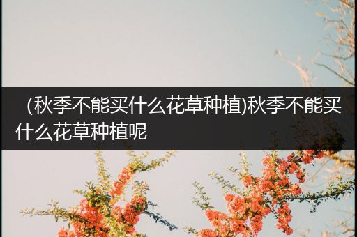 （秋季不能买什么花草种植)秋季不能买什么花草种植呢