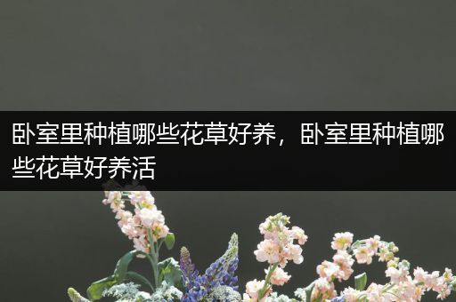 卧室里种植哪些花草好养，卧室里种植哪些花草好养活