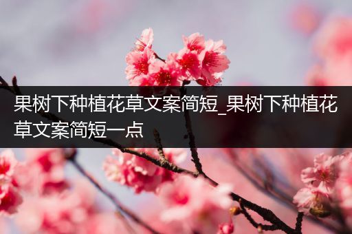 果树下种植花草文案简短_果树下种植花草文案简短一点