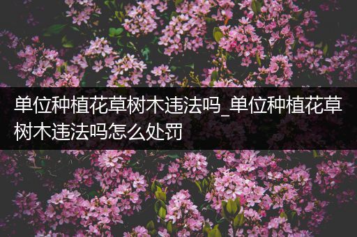 单位种植花草树木违法吗_单位种植花草树木违法吗怎么处罚