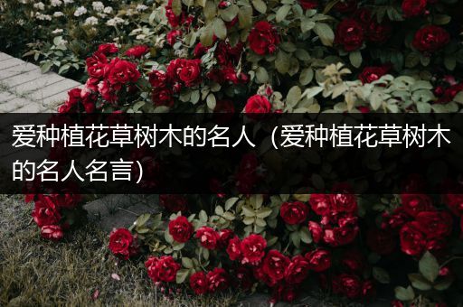 爱种植花草树木的名人（爱种植花草树木的名人名言）