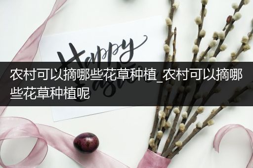 农村可以摘哪些花草种植_农村可以摘哪些花草种植呢