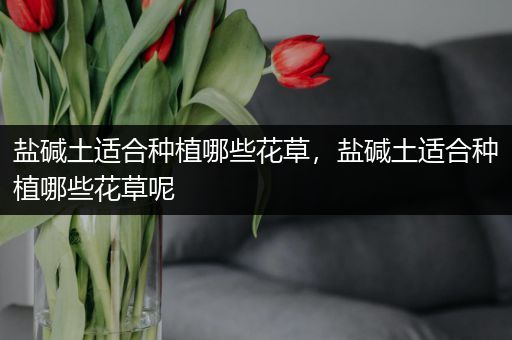 盐碱土适合种植哪些花草，盐碱土适合种植哪些花草呢