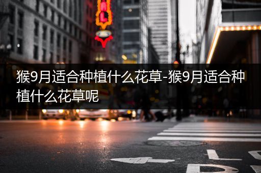 猴9月适合种植什么花草-猴9月适合种植什么花草呢
