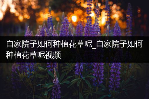 自家院子如何种植花草呢_自家院子如何种植花草呢视频