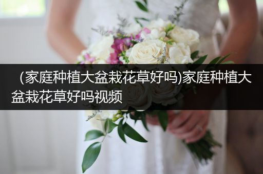 （家庭种植大盆栽花草好吗)家庭种植大盆栽花草好吗视频