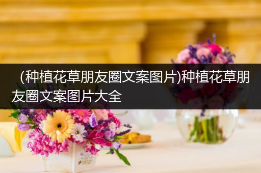 （种植花草朋友圈文案图片)种植花草朋友圈文案图片大全