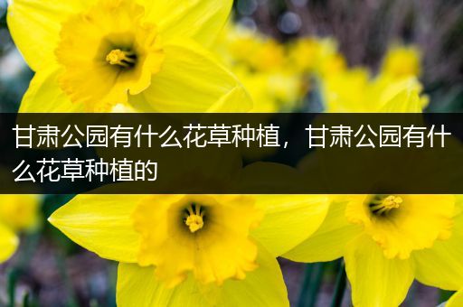 甘肃公园有什么花草种植，甘肃公园有什么花草种植的