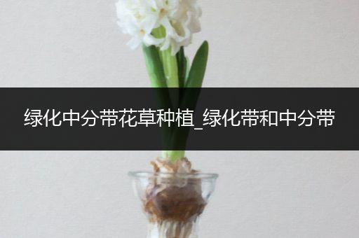 绿化中分带花草种植_绿化带和中分带