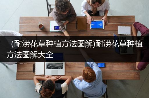 （耐涝花草种植方法图解)耐涝花草种植方法图解大全