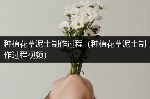 种植花草泥土制作过程（种植花草泥土制作过程视频）