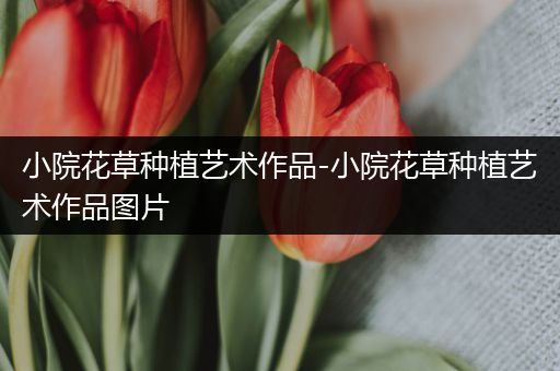 小院花草种植艺术作品-小院花草种植艺术作品图片