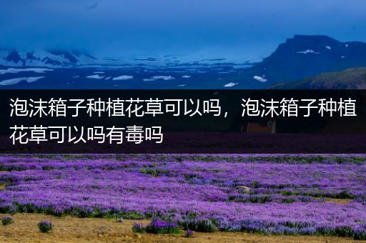 泡沫箱子种植花草可以吗，泡沫箱子种植花草可以吗有毒吗